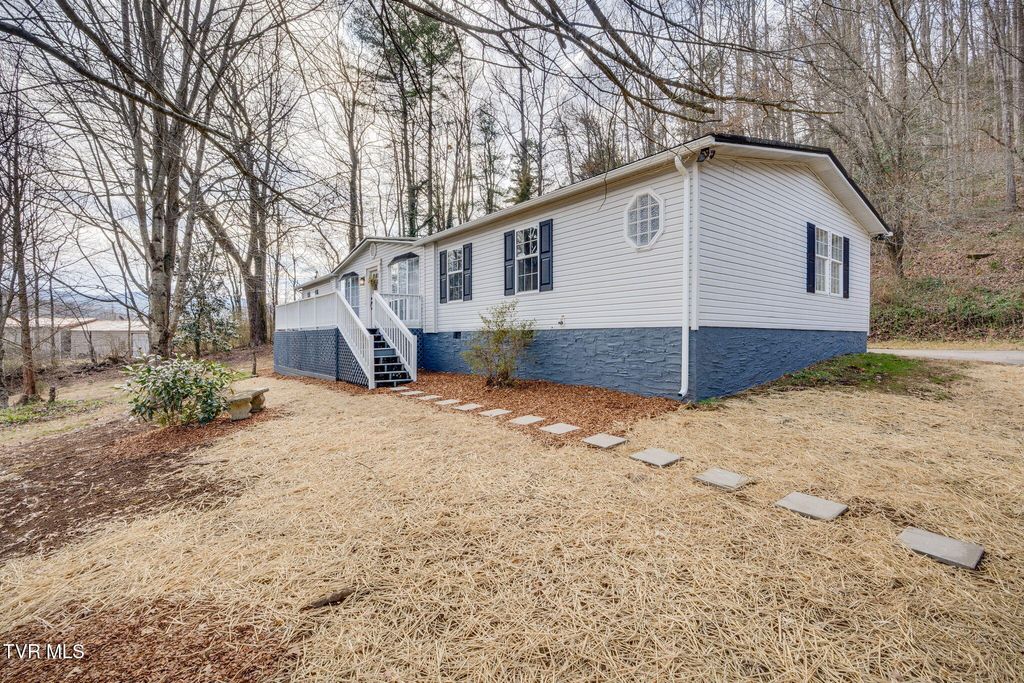 Photo of 317 Mcinturff Springs Road, Erwin, TN 37650 (MLS # 9990223)