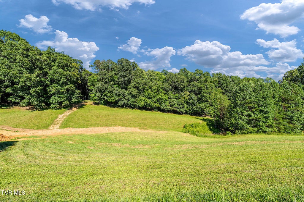 Photo of 160 Water Tank Hill Road, Johnson City, TN 37604 (MLS # 10001361)