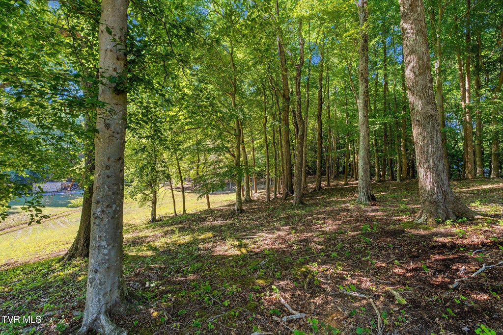 Photo of 160 Water Tank Hill Road, Johnson City, TN 37604 (MLS # 10001361)
