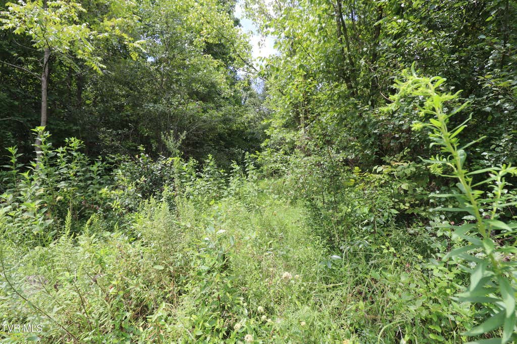 Photo of 499 Rodefer Hollow Road, Blountville, TN 37617 (MLS # 9999704)