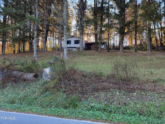 1233 PLEASANT VALLEY RD, MOUNTAIN CITY, TN 37683 - Image 767889dcc6b2b615fc2b445e61bc1a5e/3210403986