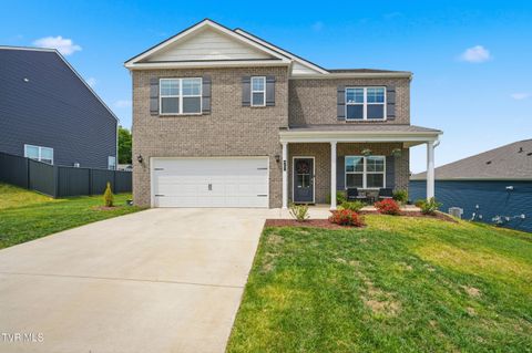 Photo of 460 Quiver Street, Johnson City, TN 37604 (MLS # 9995028)