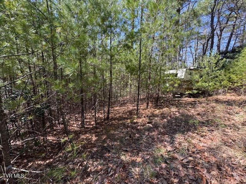 Photo of 0 Buck Hollow Trail, Sugar Grove, VA 24375 (MLS # 9984686)