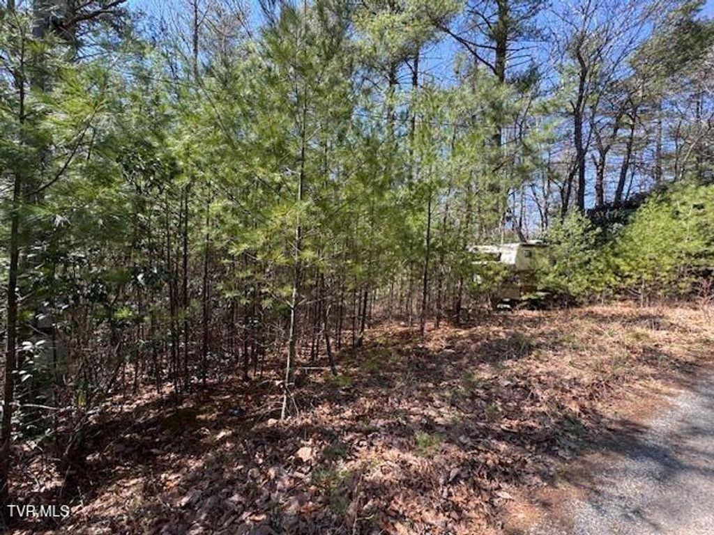 Photo of 0 Buck Hollow Trail, Sugar Grove, VA 24375 (MLS # 9984686)