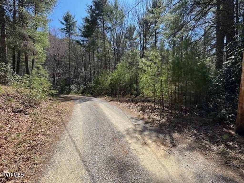 Photo of 0 Buck Hollow Trail, Sugar Grove, VA 24375 (MLS # 9984686)