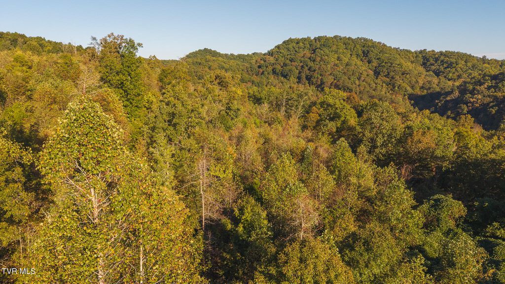 Photo of 97 Black Valley Road, Sneedville, TN 37869 (MLS # 9986852)
