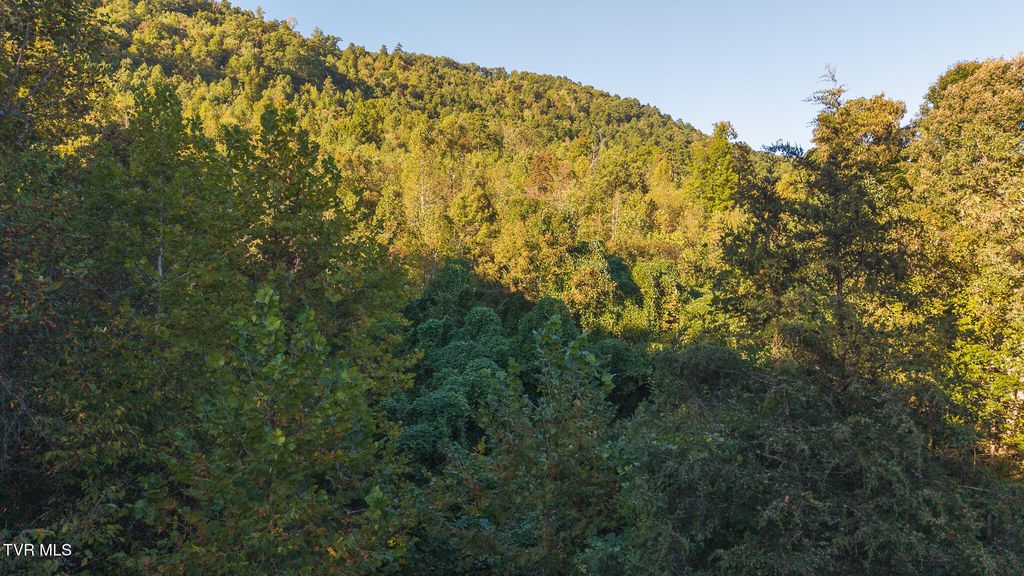 Photo of 97 Black Valley Road, Sneedville, TN 37869 (MLS # 9986852)