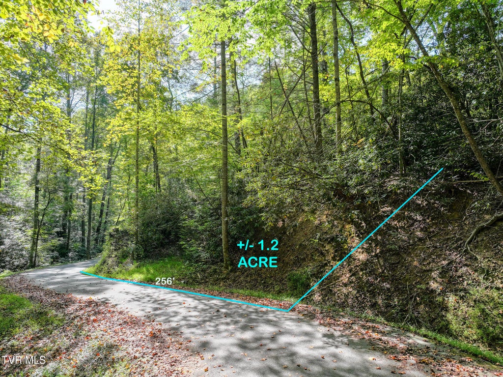 Photo of 3 King Drive, Gatlinburg, TN 37738 (MLS # 10001833)