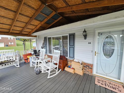 Tiny photo for 30 Unaka Drive, Mosheim, TN 37818 (MLS # 9986415)