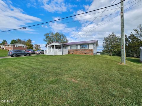 Tiny photo for 30 Unaka Drive, Mosheim, TN 37818 (MLS # 9986415)