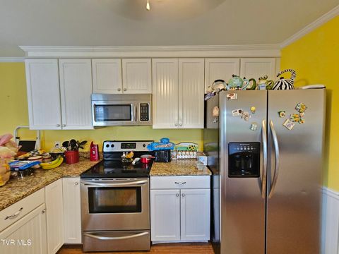 Tiny photo for 30 Unaka Drive, Mosheim, TN 37818 (MLS # 9986415)