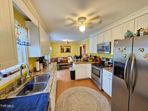 Tiny photo for 30 Unaka Drive, Mosheim, TN 37818 (MLS # 9986415)