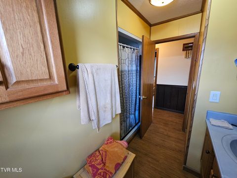 Tiny photo for 30 Unaka Drive, Mosheim, TN 37818 (MLS # 9986415)