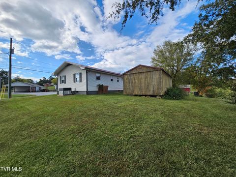 Tiny photo for 30 Unaka Drive, Mosheim, TN 37818 (MLS # 9986415)