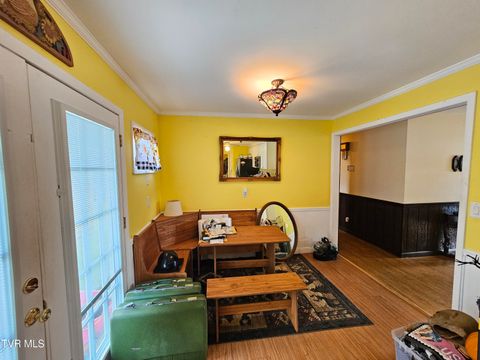 Tiny photo for 30 Unaka Drive, Mosheim, TN 37818 (MLS # 9986415)