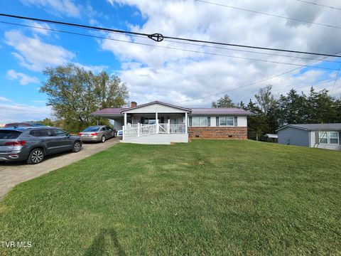 Tiny photo for 30 Unaka Drive, Mosheim, TN 37818 (MLS # 9986415)