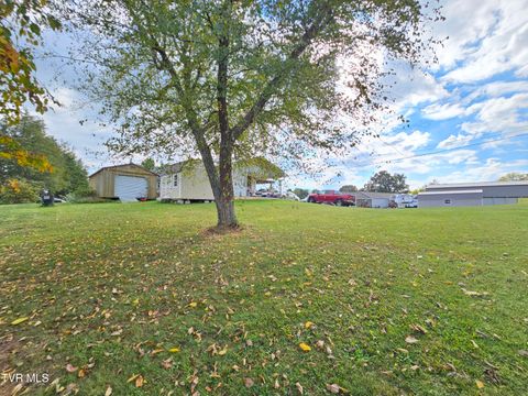 Tiny photo for 30 Unaka Drive, Mosheim, TN 37818 (MLS # 9986415)