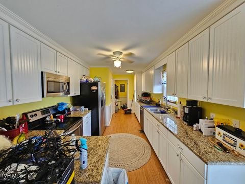 Tiny photo for 30 Unaka Drive, Mosheim, TN 37818 (MLS # 9986415)