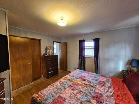 Tiny photo for 30 Unaka Drive, Mosheim, TN 37818 (MLS # 9986415)