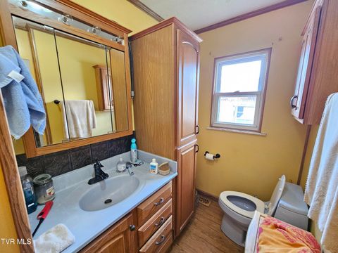 Tiny photo for 30 Unaka Drive, Mosheim, TN 37818 (MLS # 9986415)