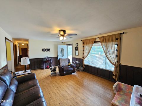 Tiny photo for 30 Unaka Drive, Mosheim, TN 37818 (MLS # 9986415)