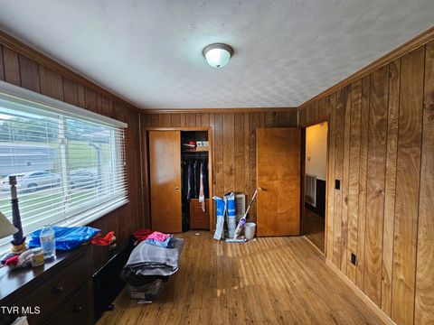 Tiny photo for 30 Unaka Drive, Mosheim, TN 37818 (MLS # 9986415)