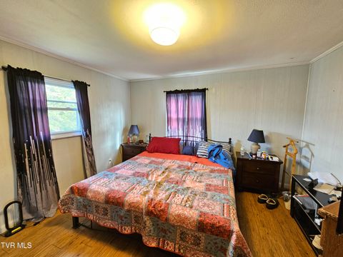 Tiny photo for 30 Unaka Drive, Mosheim, TN 37818 (MLS # 9986415)