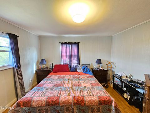 Tiny photo for 30 Unaka Drive, Mosheim, TN 37818 (MLS # 9986415)