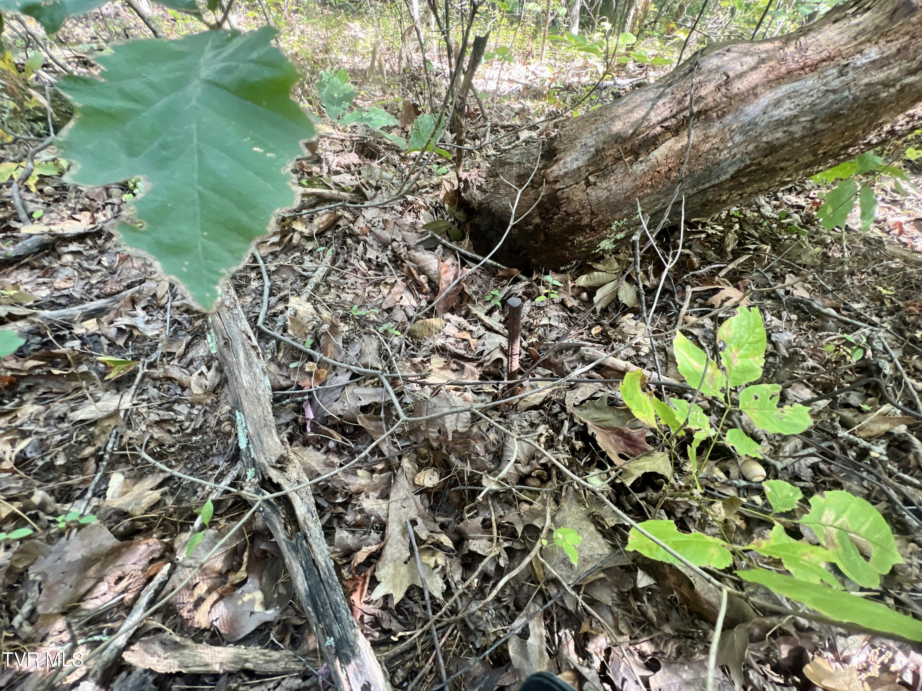 18.04/Ac Tbd Shipley Road, Greeneville, Tennessee image 11