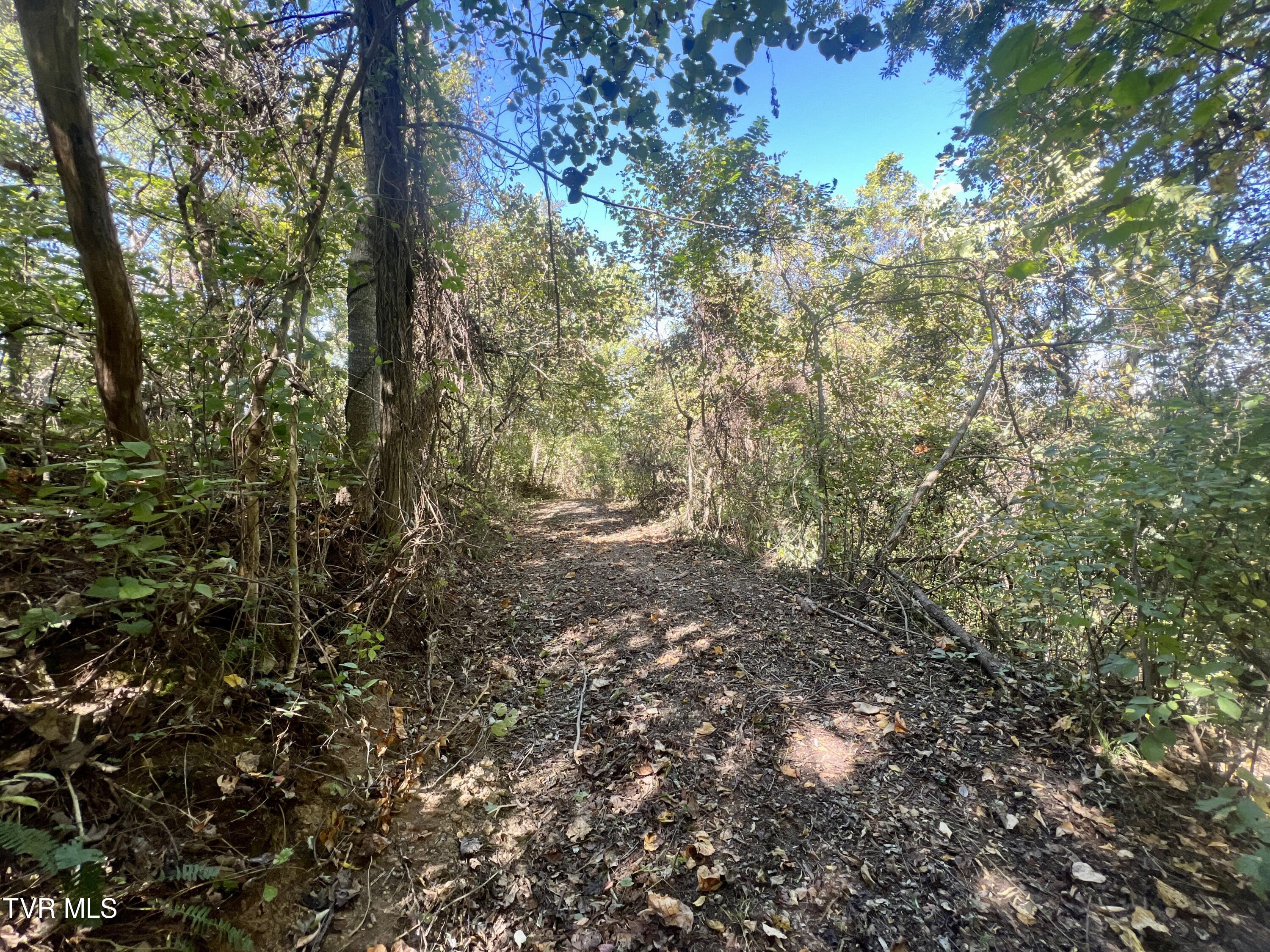 18.04/Ac Tbd Shipley Road, Greeneville, Tennessee image 7