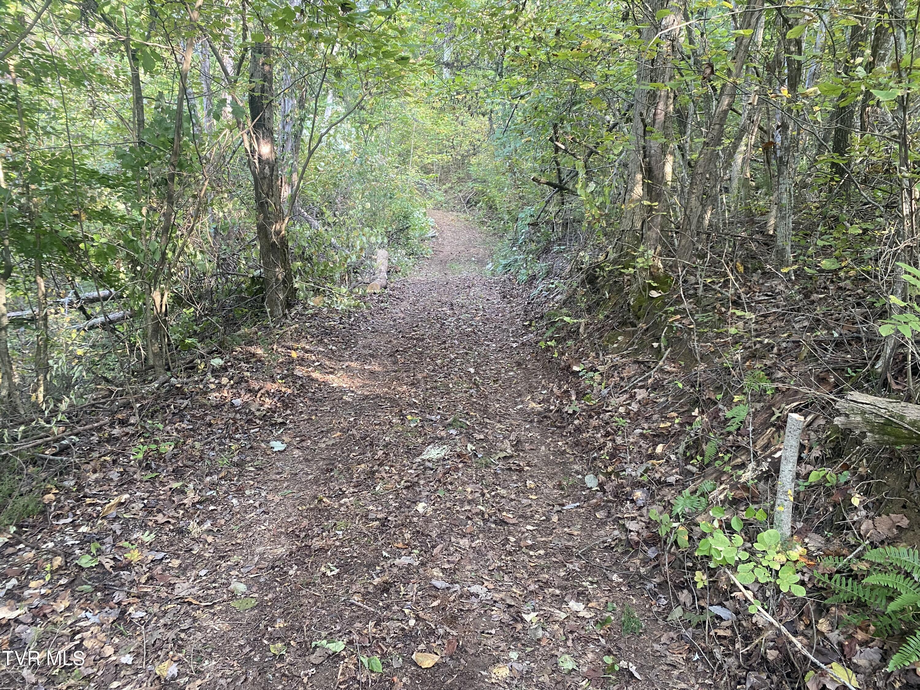 18.04/Ac Tbd Shipley Road, Greeneville, Tennessee image 4