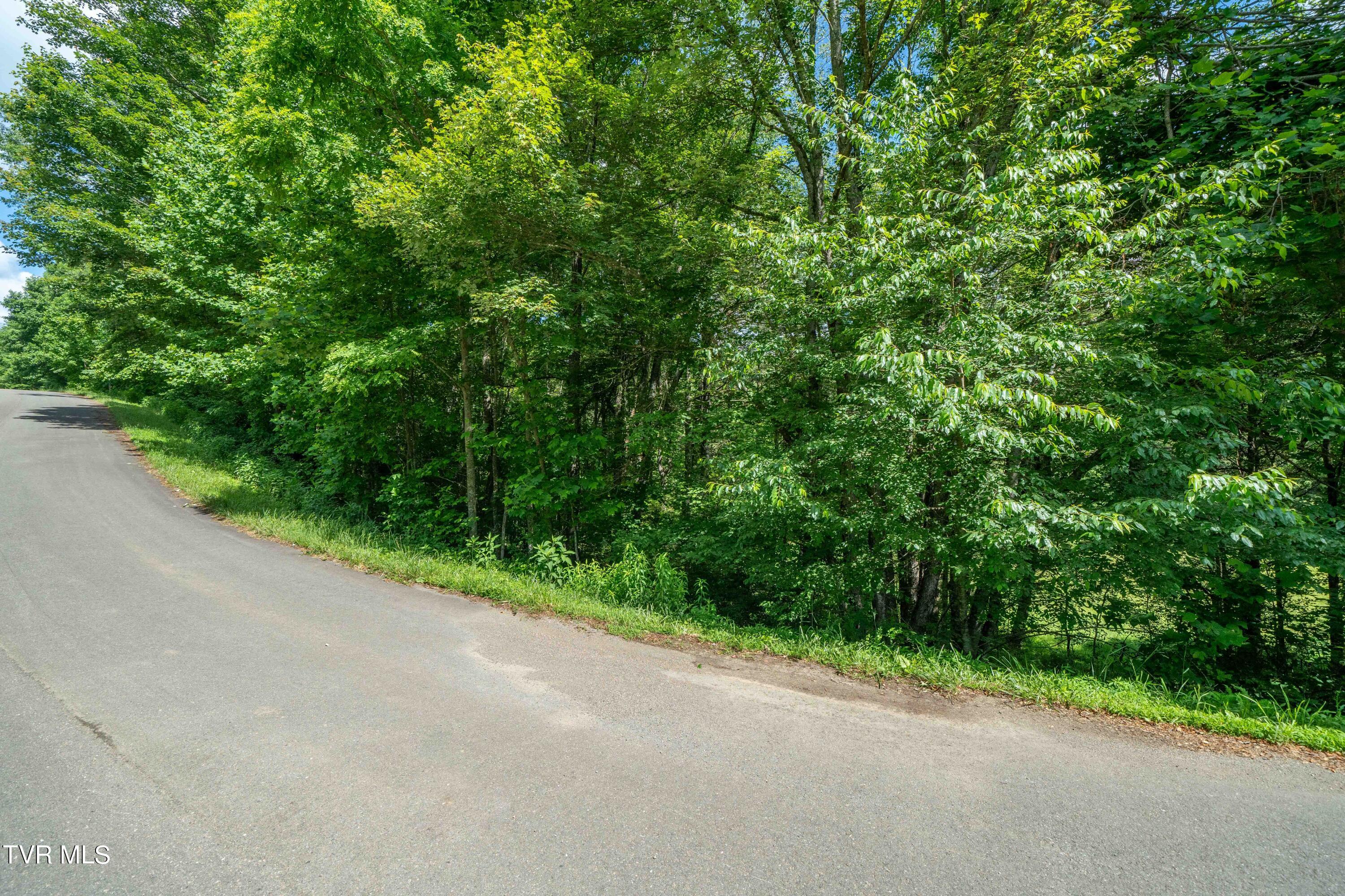 Tbd00 Laurelwood Drive, Mountain City, Tennessee image 42