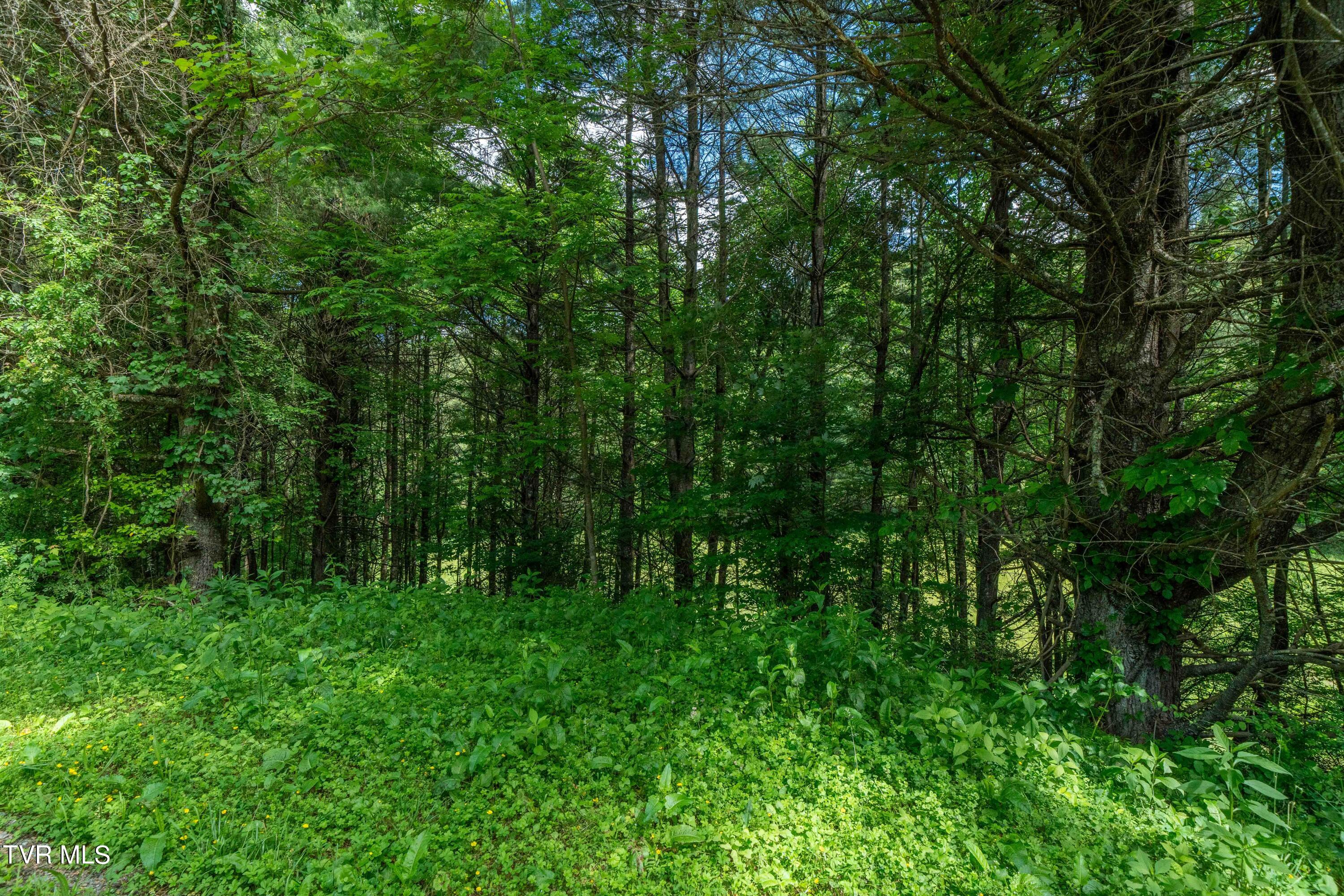 Tbd00 Laurelwood Drive, Mountain City, Tennessee image 38