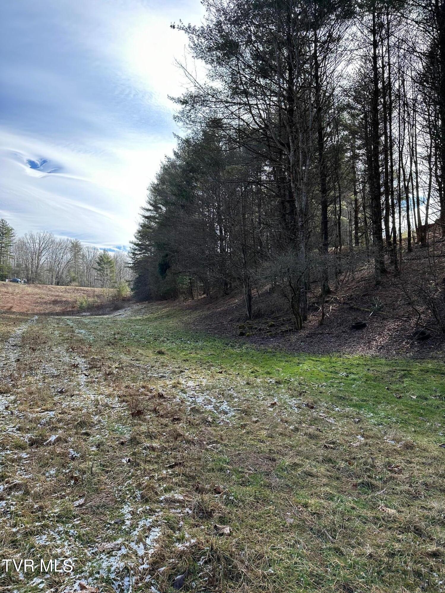 Tbd00 Laurelwood Drive, Mountain City, Tennessee image 14