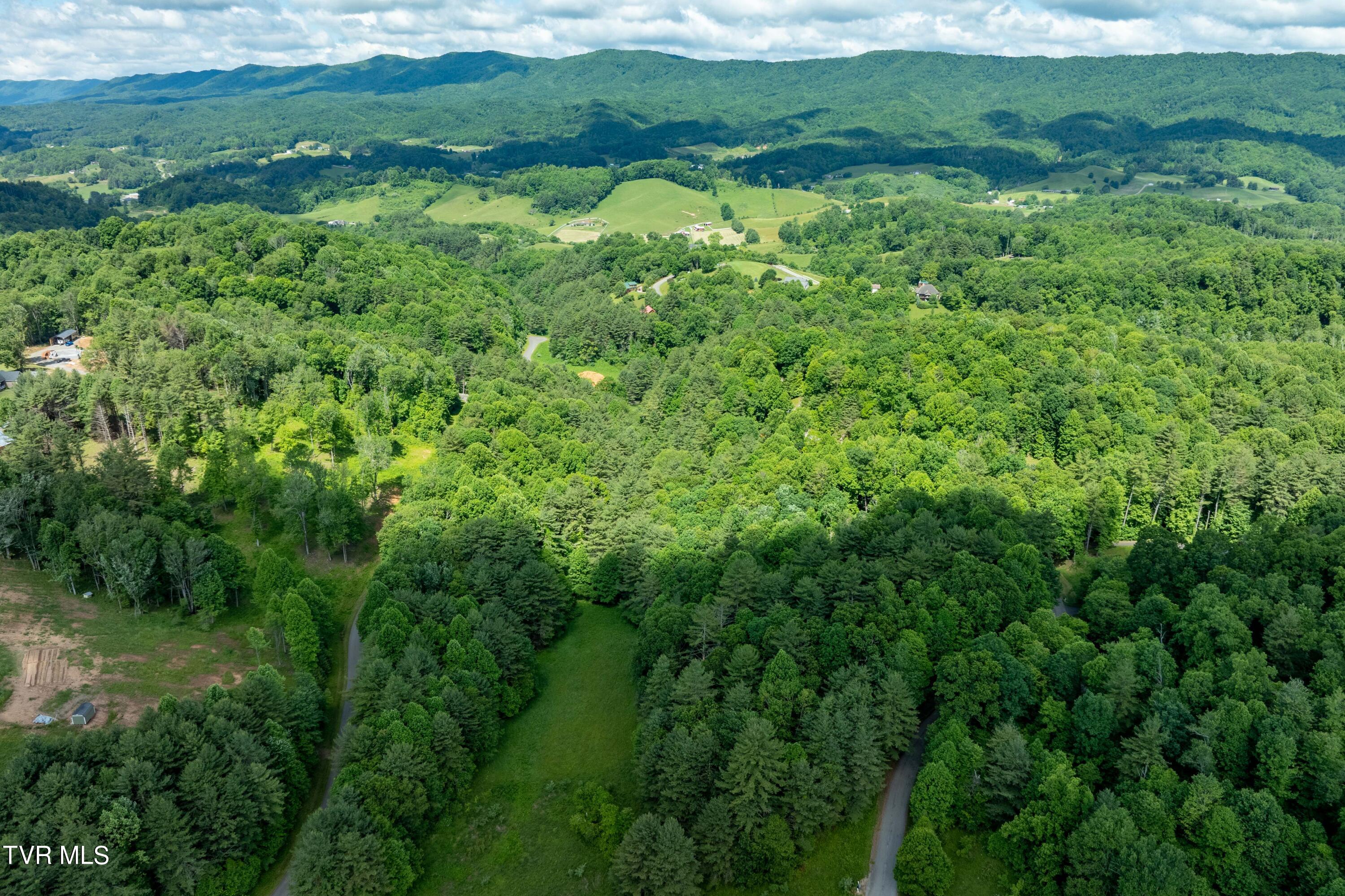 Tbd00 Laurelwood Drive, Mountain City, Tennessee image 22