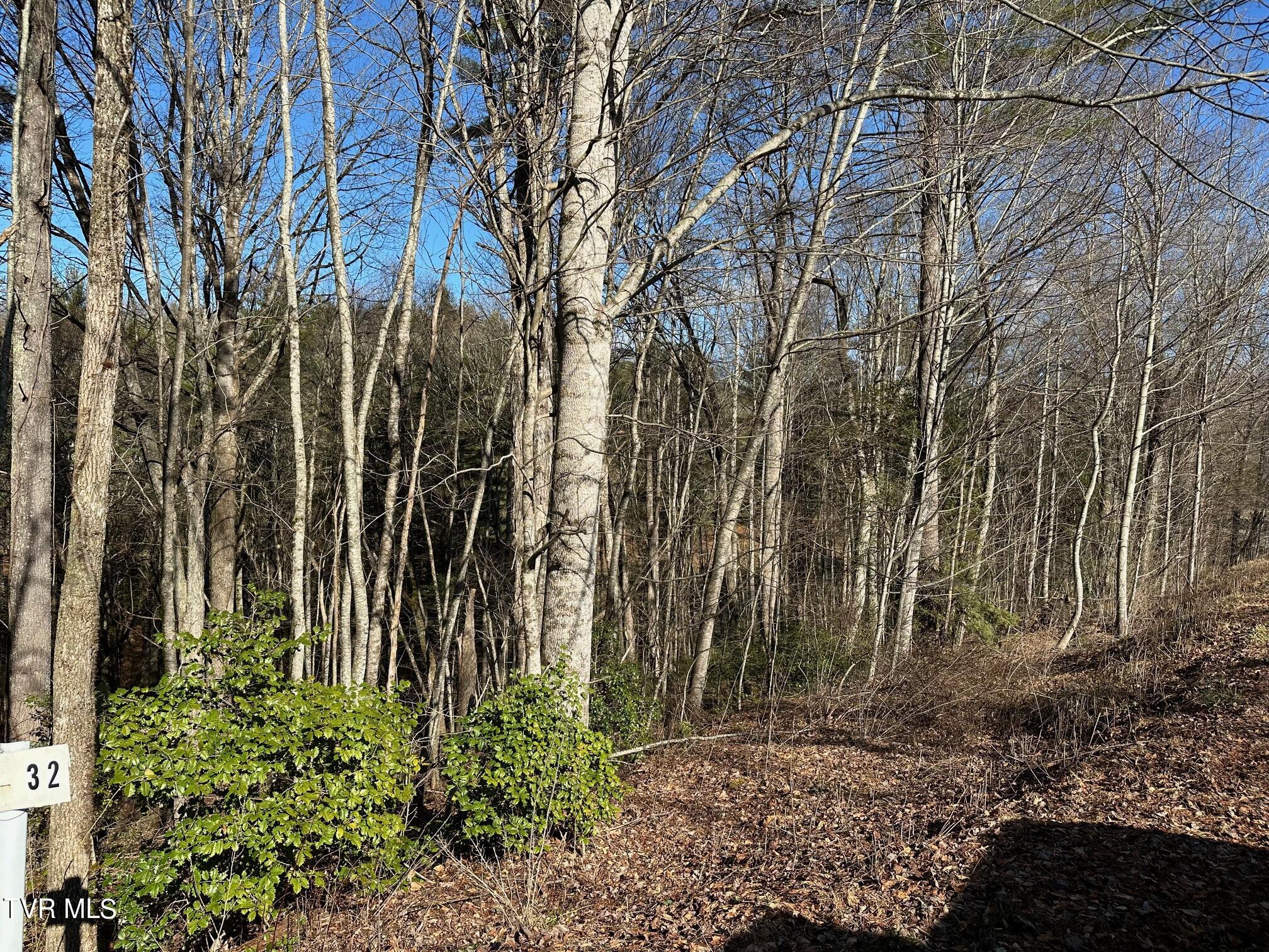 Tbd00 Laurelwood Drive, Mountain City, Tennessee image 3