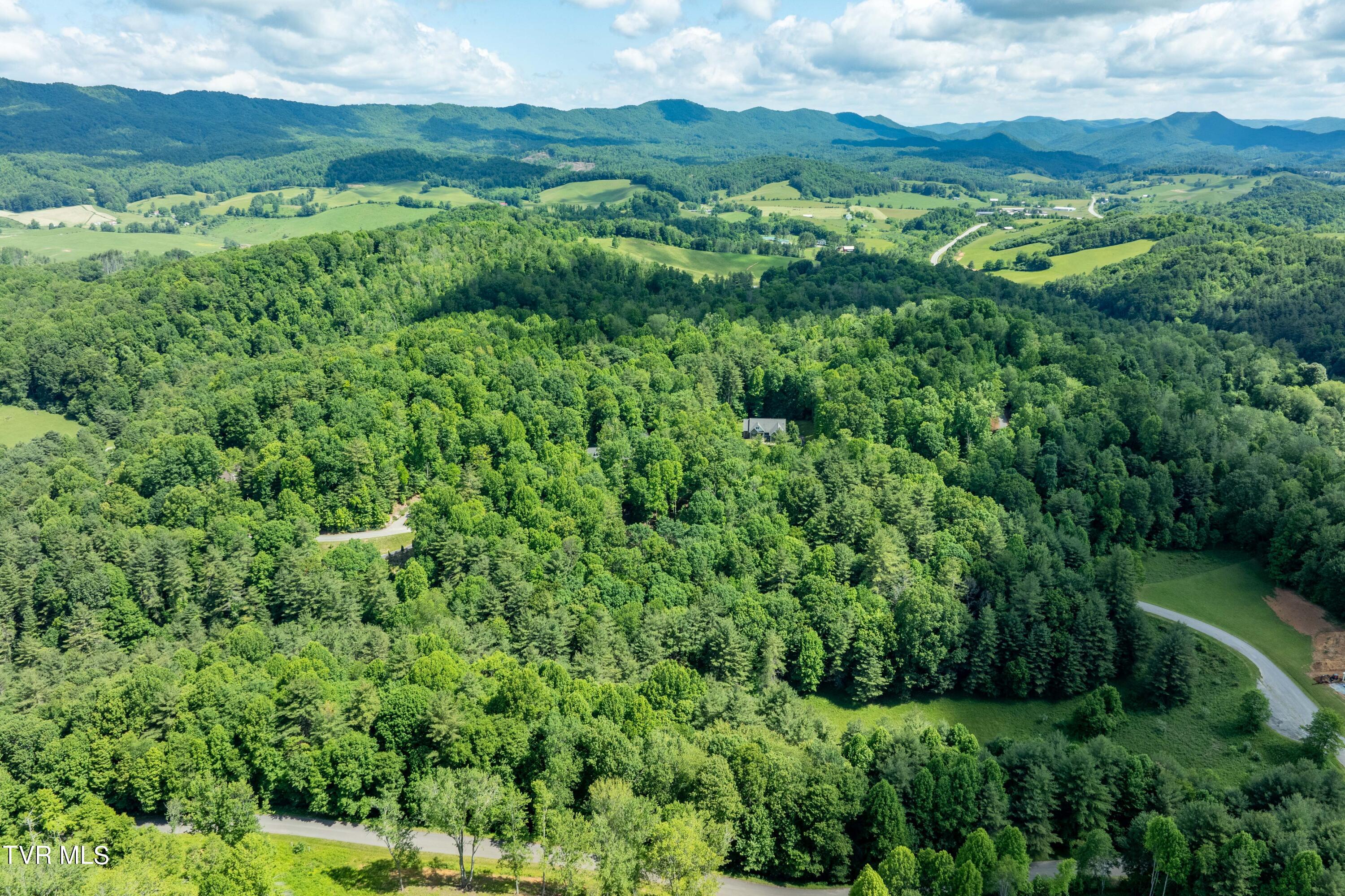 Tbd00 Laurelwood Drive, Mountain City, Tennessee image 24