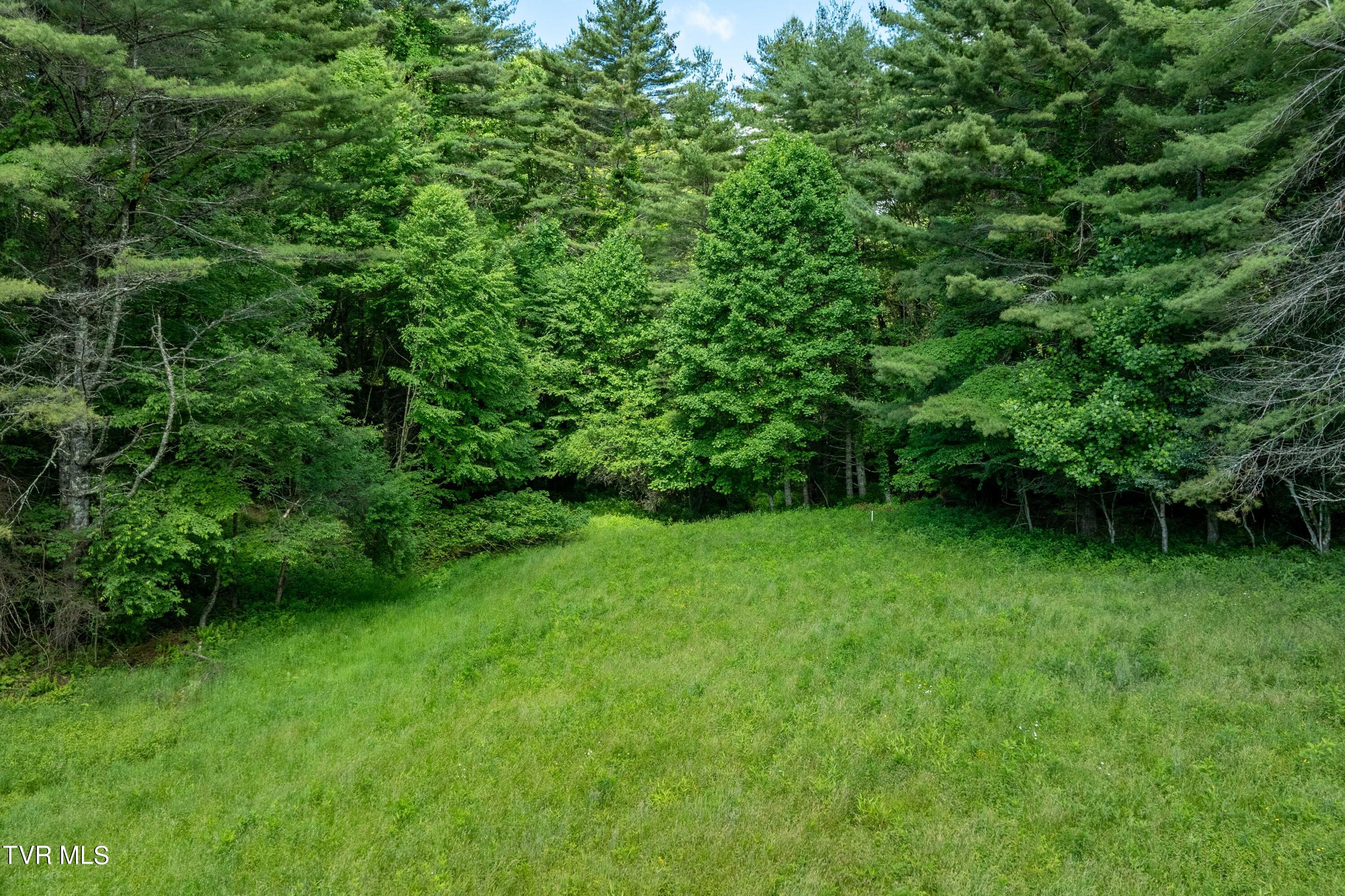 Tbd00 Laurelwood Drive, Mountain City, Tennessee image 35