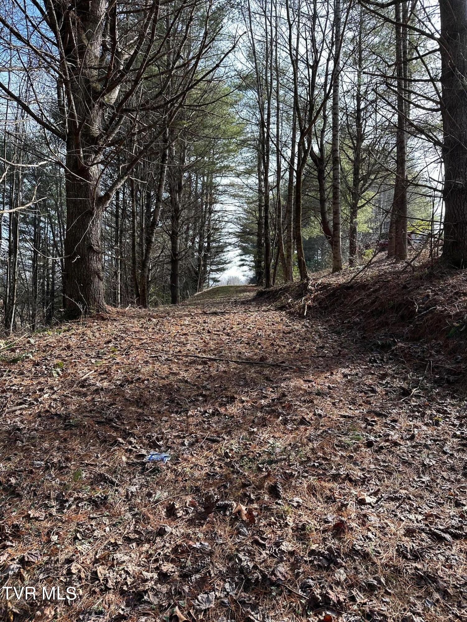 Tbd00 Laurelwood Drive, Mountain City, Tennessee image 16