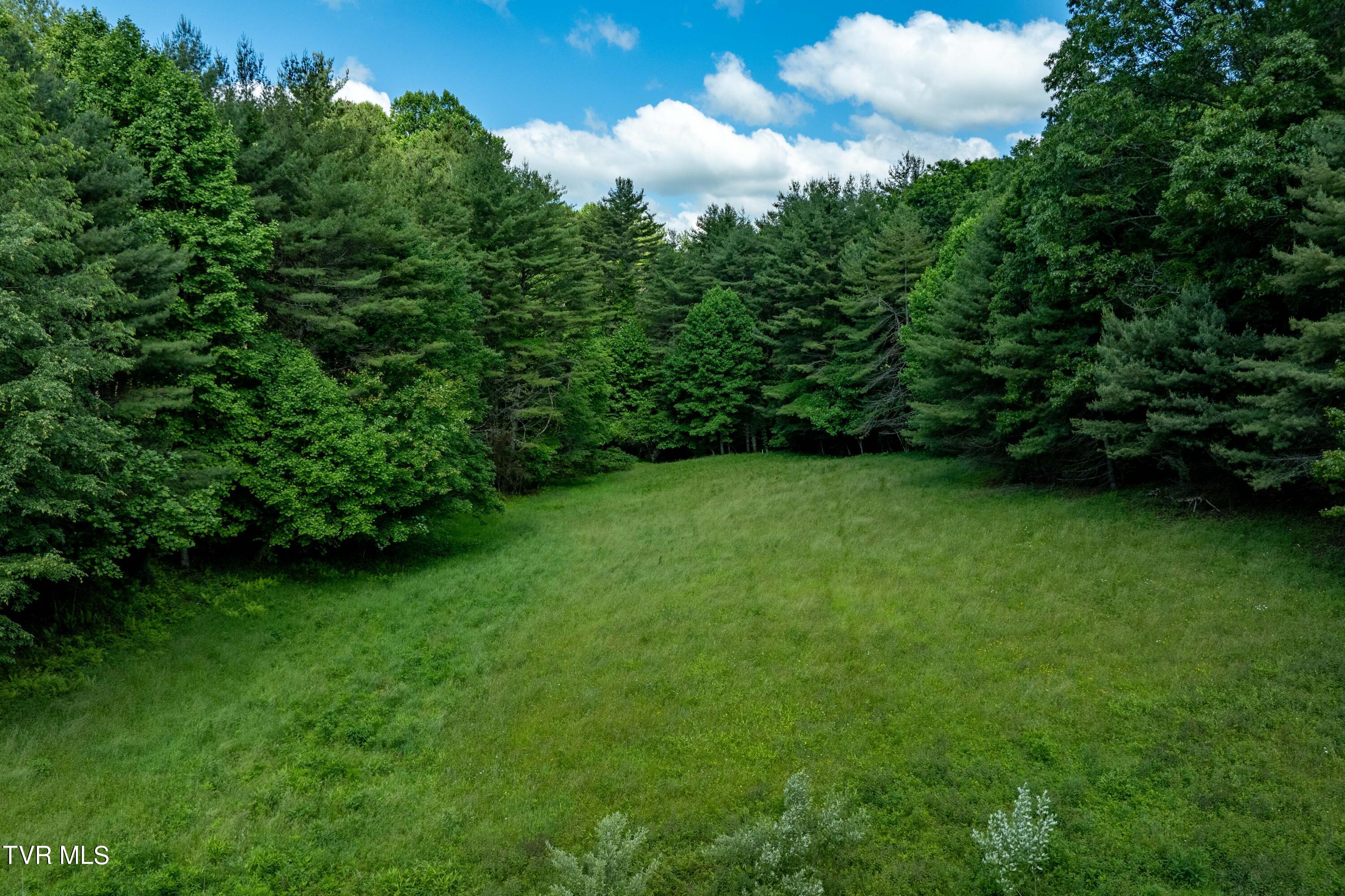Tbd00 Laurelwood Drive, Mountain City, Tennessee image 33