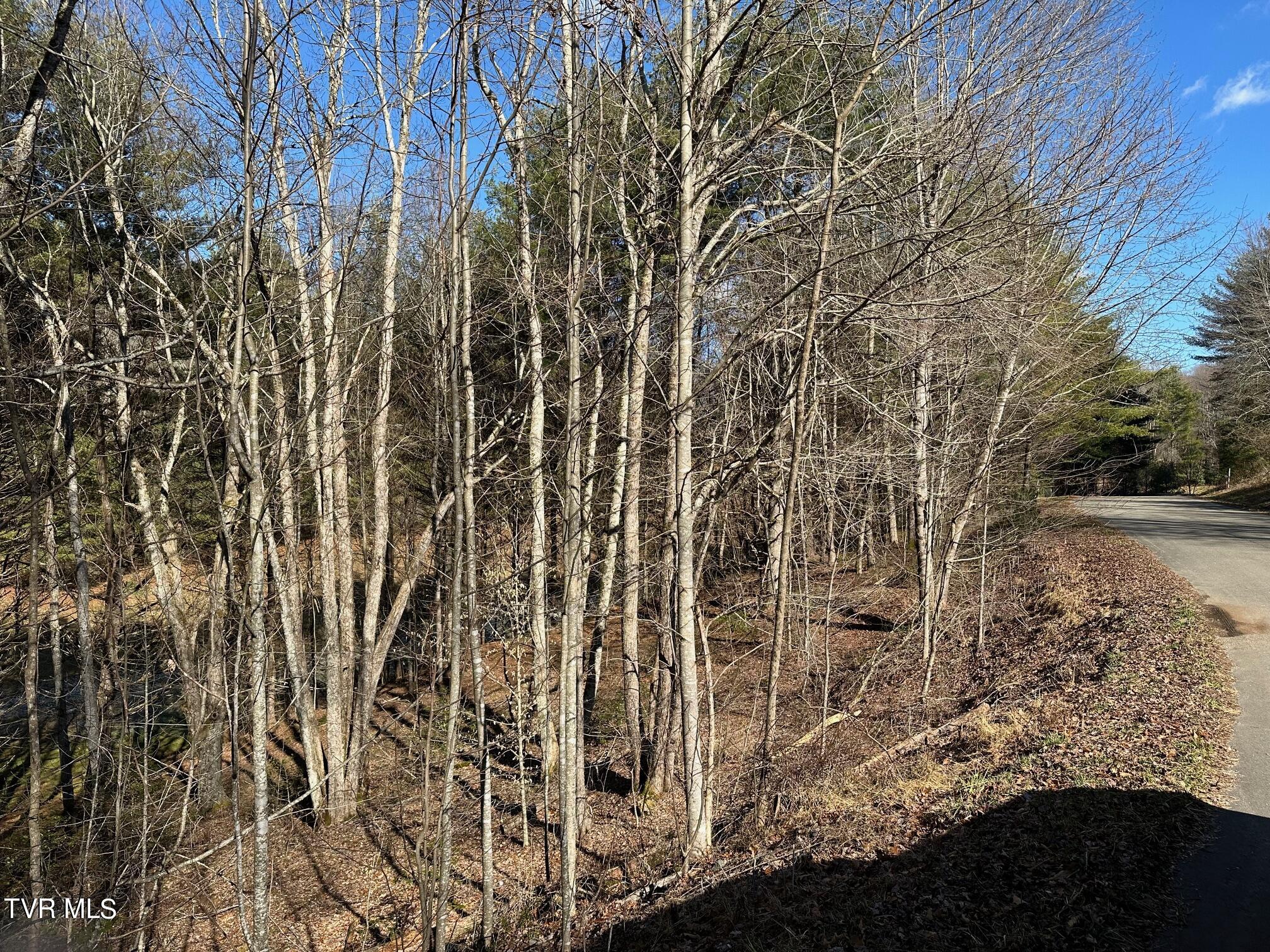 Tbd00 Laurelwood Drive, Mountain City, Tennessee image 8