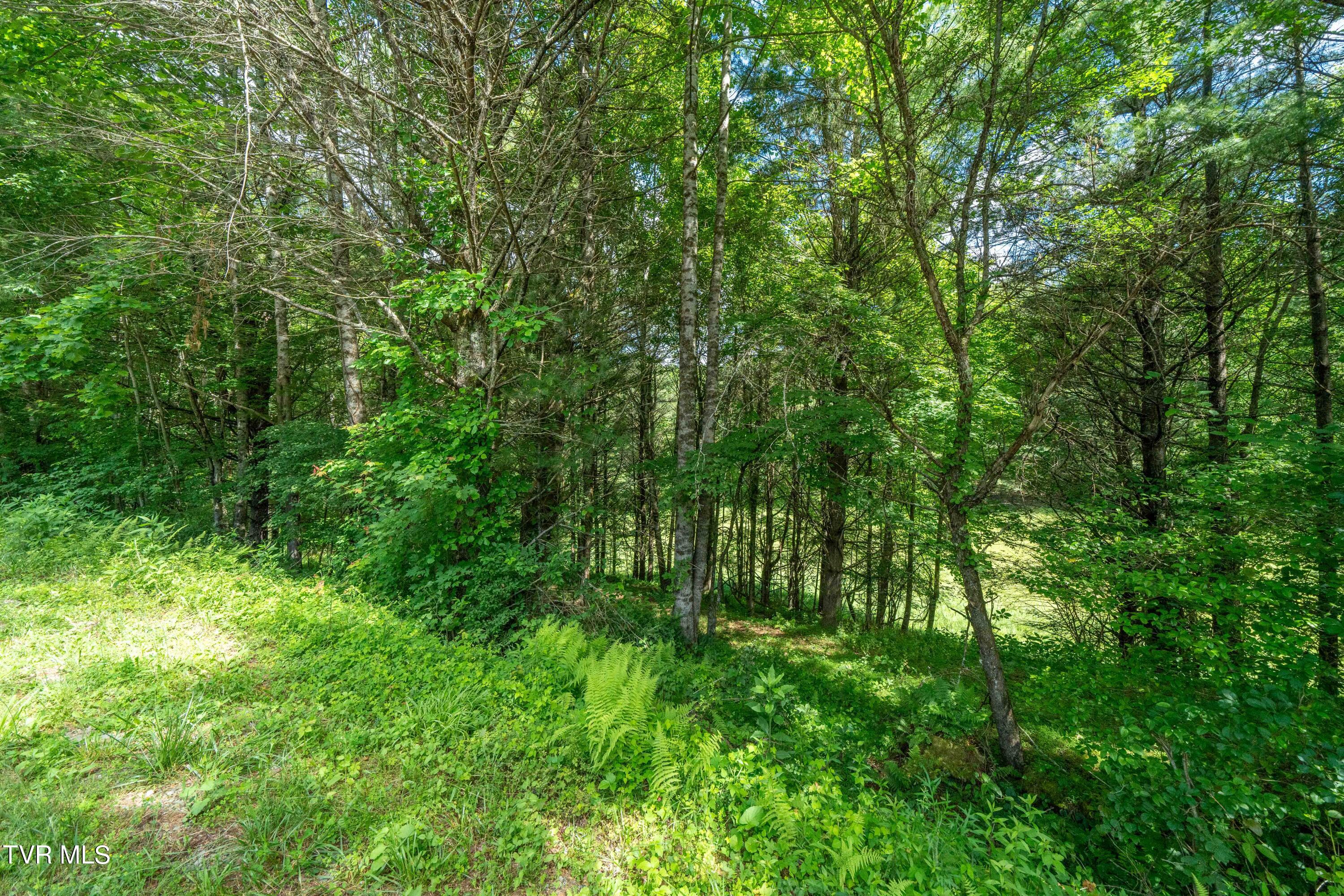 Tbd00 Laurelwood Drive, Mountain City, Tennessee image 39
