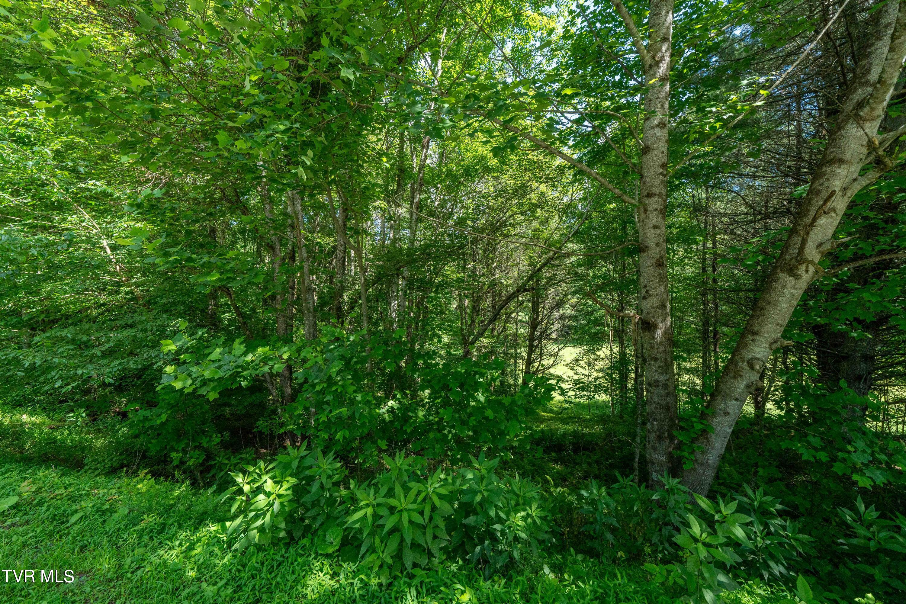 Tbd00 Laurelwood Drive, Mountain City, Tennessee image 40