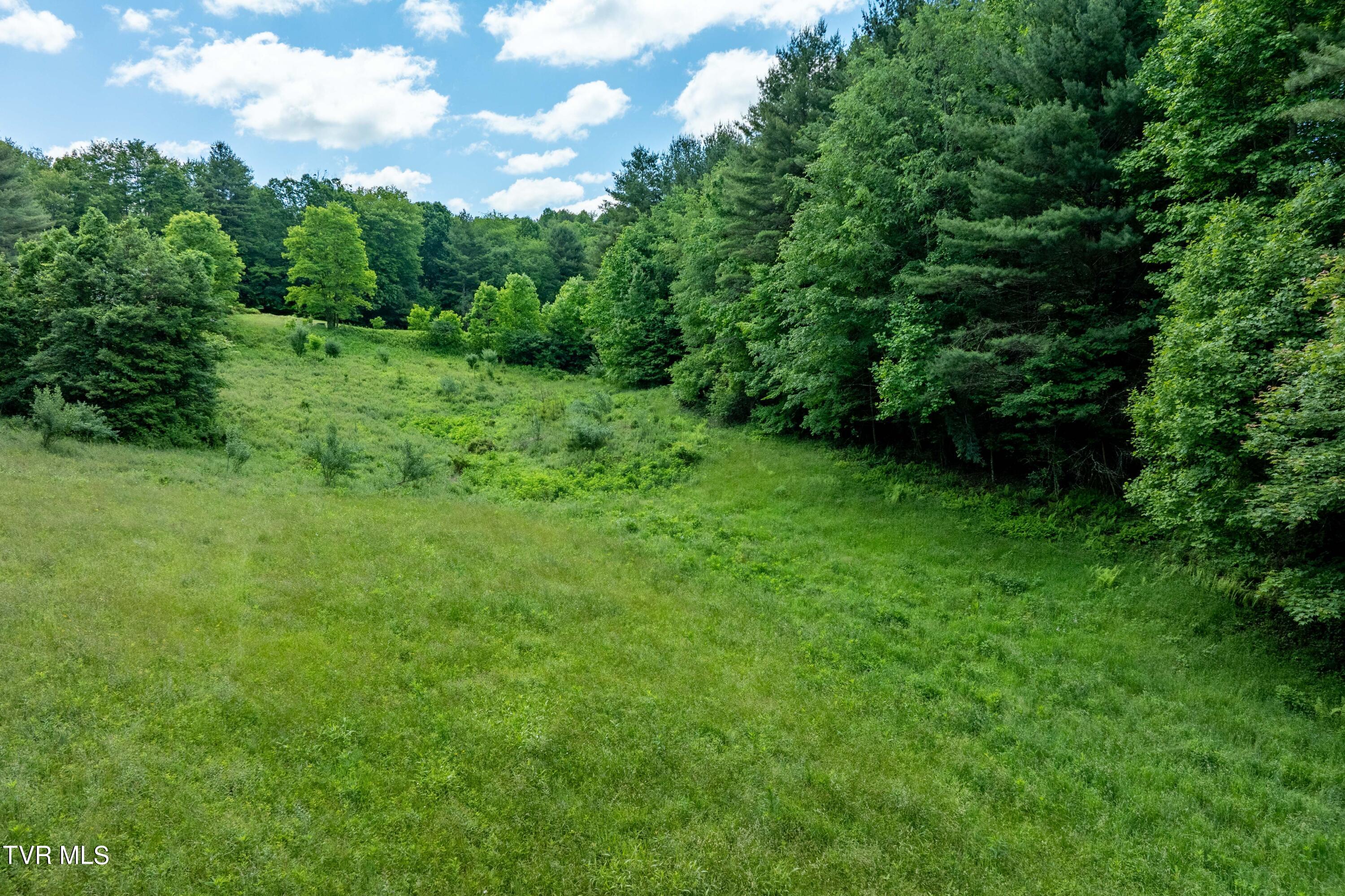 Tbd00 Laurelwood Drive, Mountain City, Tennessee image 36