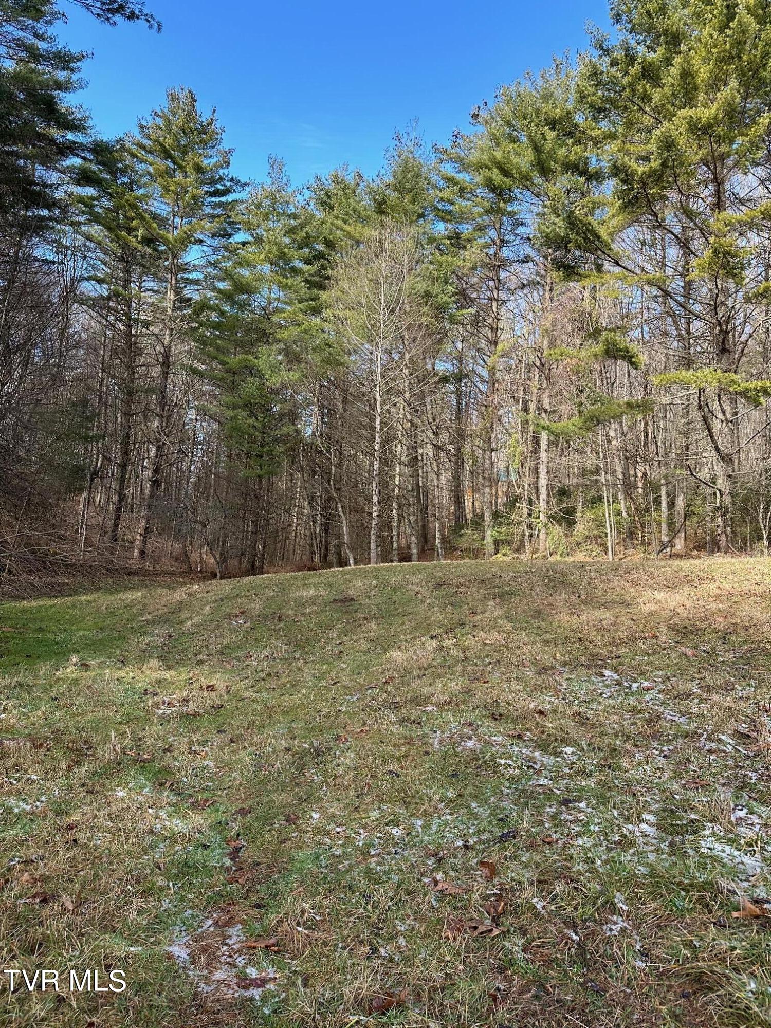 Tbd00 Laurelwood Drive, Mountain City, Tennessee image 11