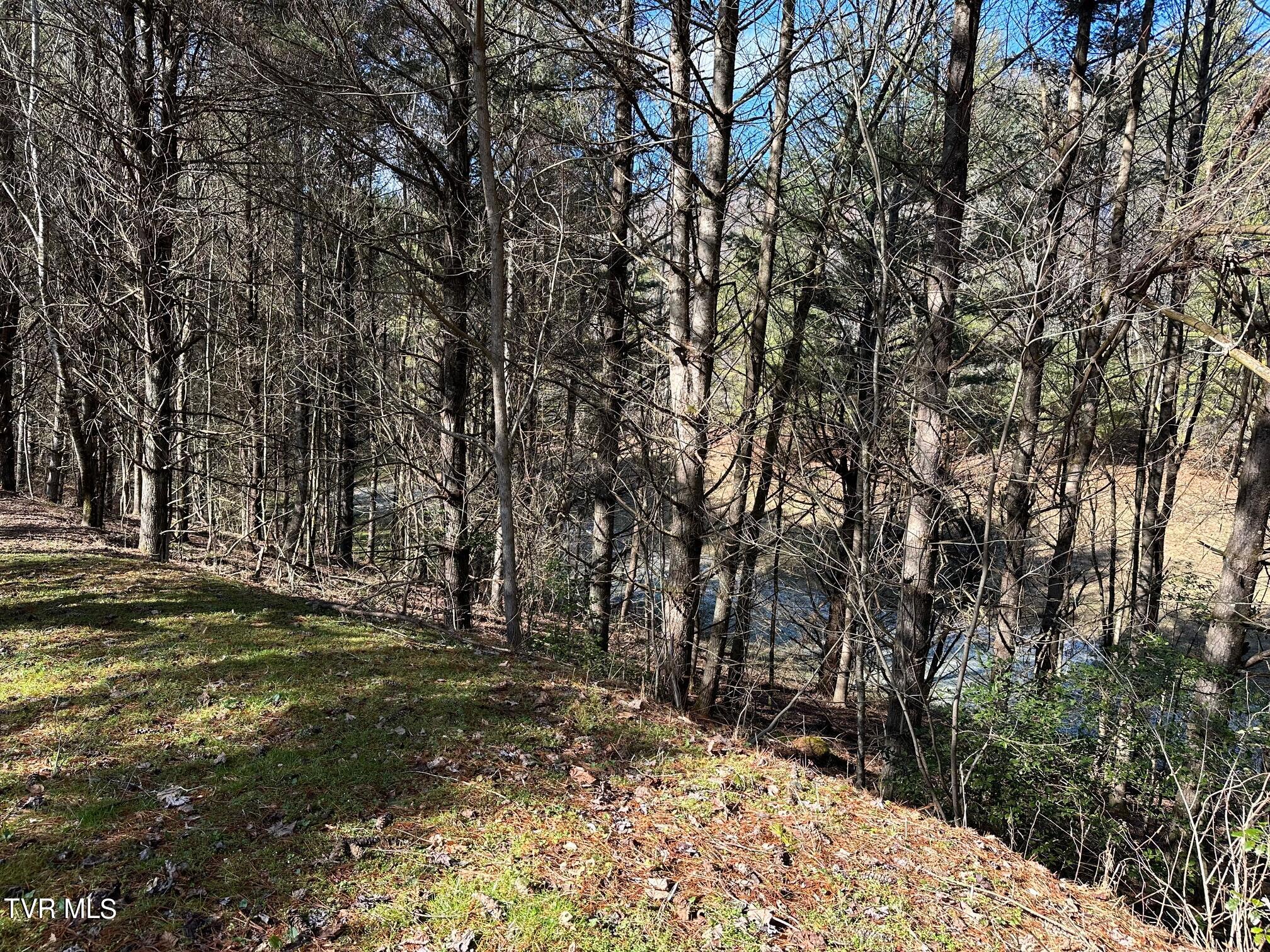 Tbd00 Laurelwood Drive, Mountain City, Tennessee image 10