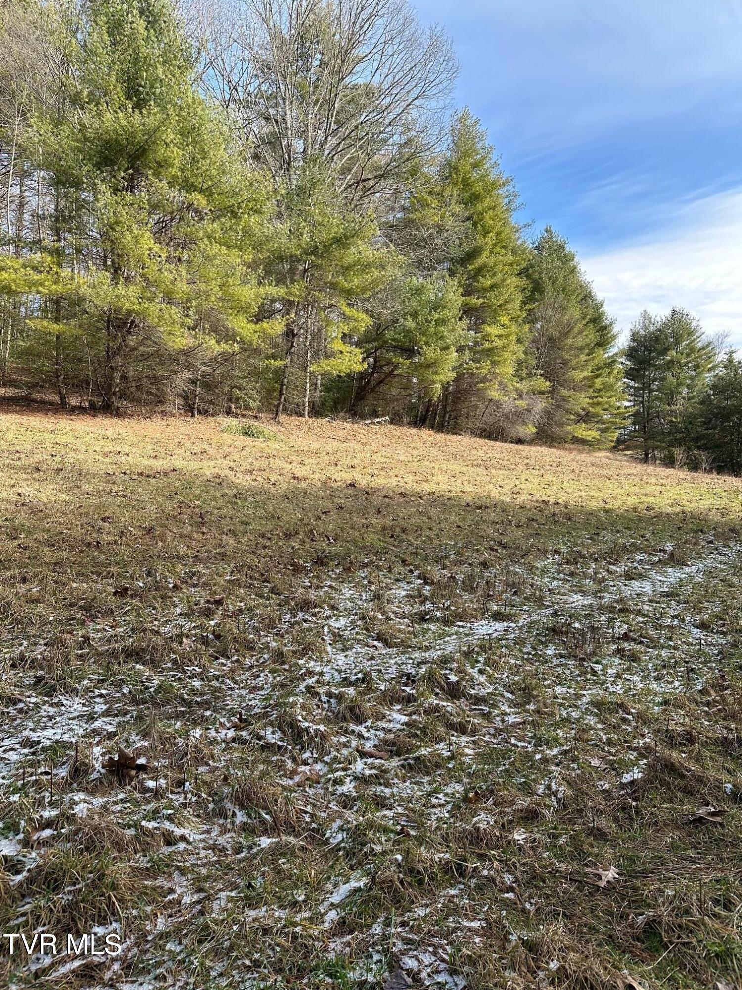 Tbd00 Laurelwood Drive, Mountain City, Tennessee image 13