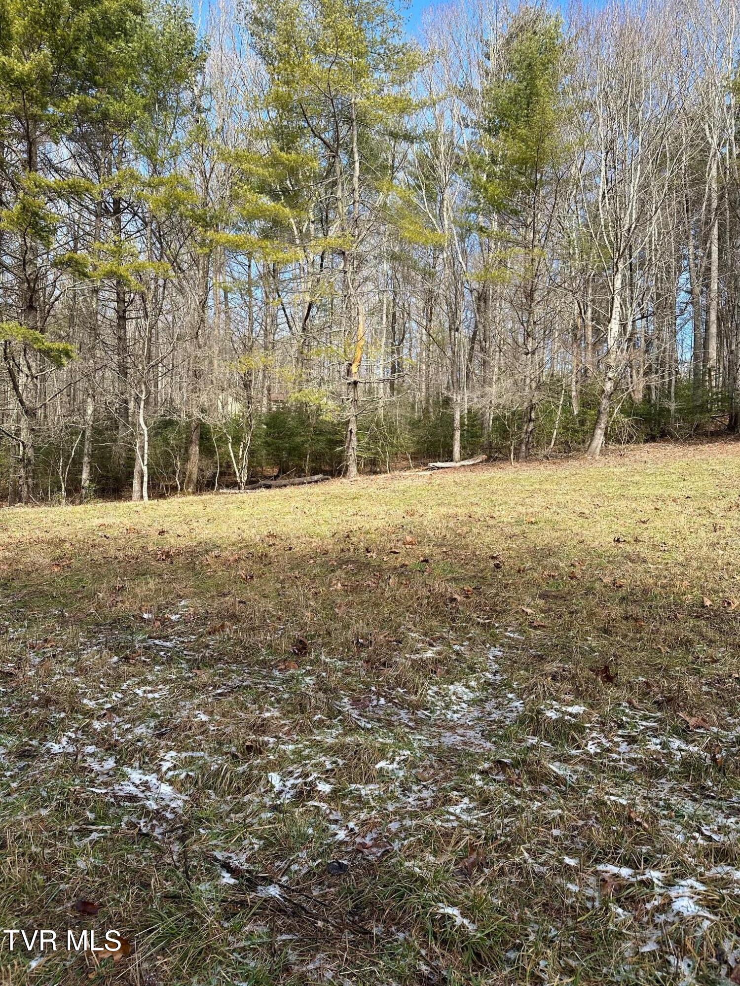 Tbd00 Laurelwood Drive, Mountain City, Tennessee image 12
