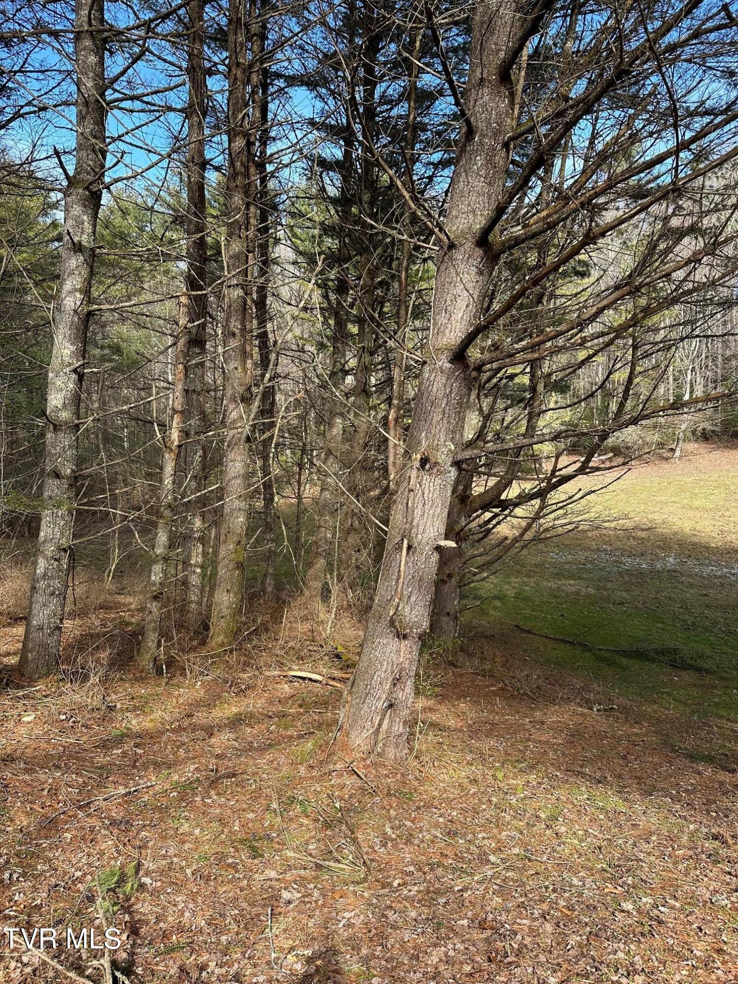 Tbd00 Laurelwood Drive, Mountain City, Tennessee image 15