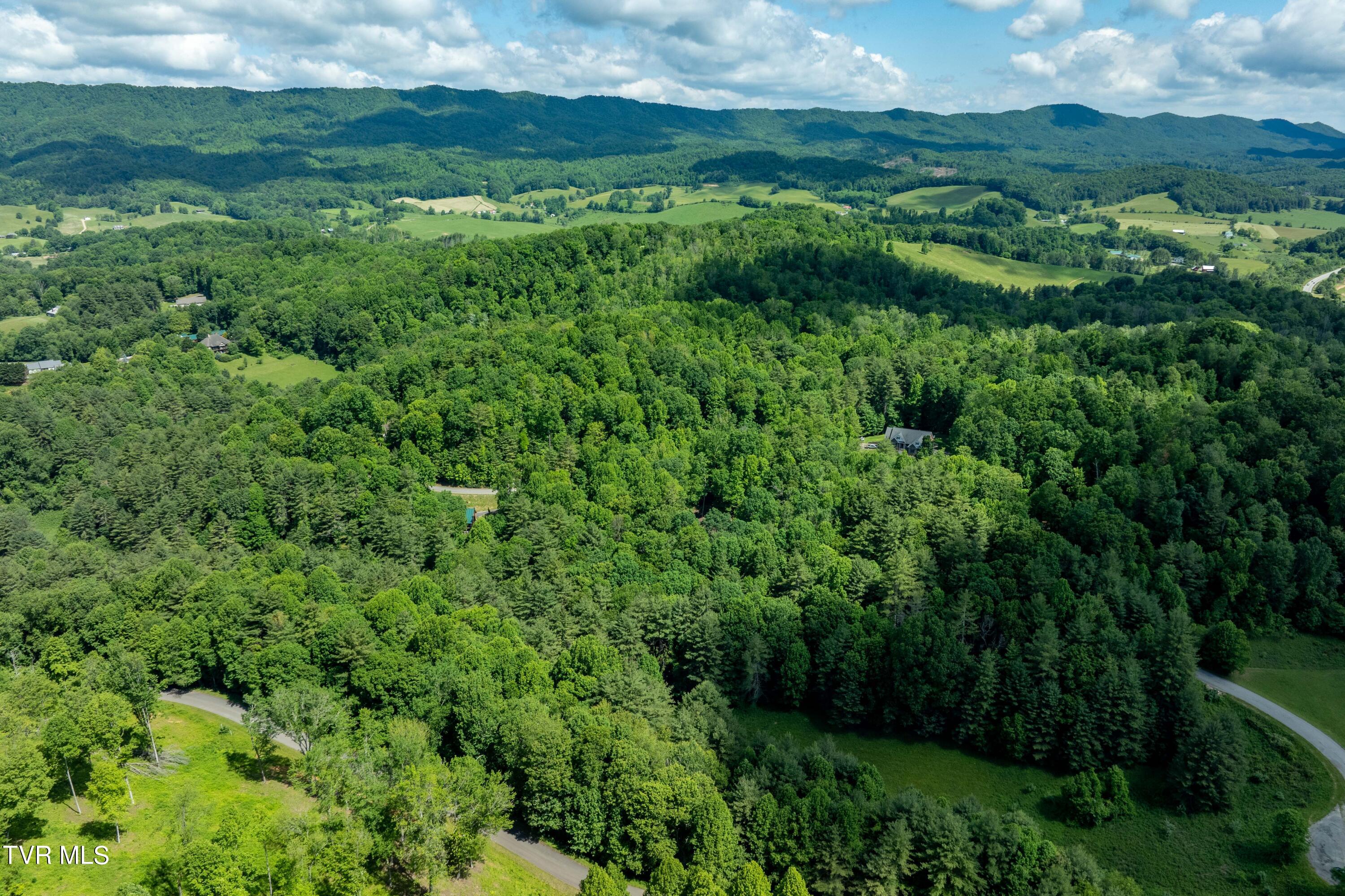 Tbd00 Laurelwood Drive, Mountain City, Tennessee image 23